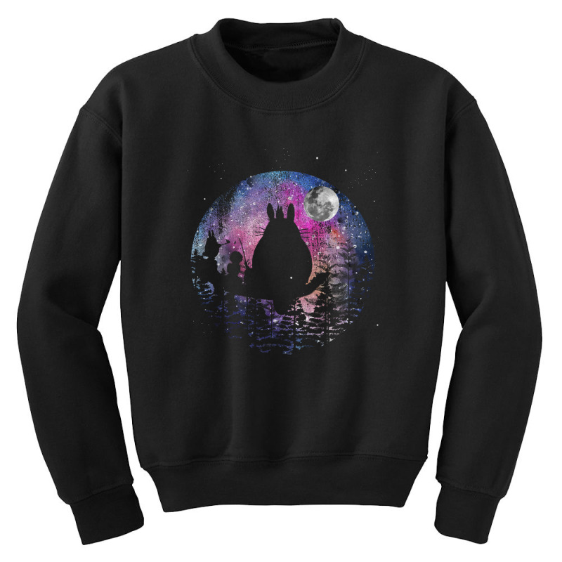 Totoro Galaxy Youth Sweatshirt by autlu2024 | Artistshot