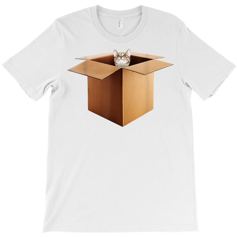 Funny Cat In A Big Cardboard Box For Cat Owners T Shirt T-Shirt by cm-arts | Artistshot