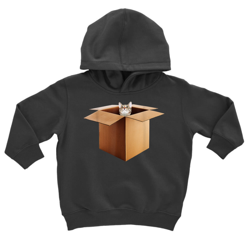 Funny Cat In A Big Cardboard Box For Cat Owners T Shirt Toddler Hoodie by cm-arts | Artistshot