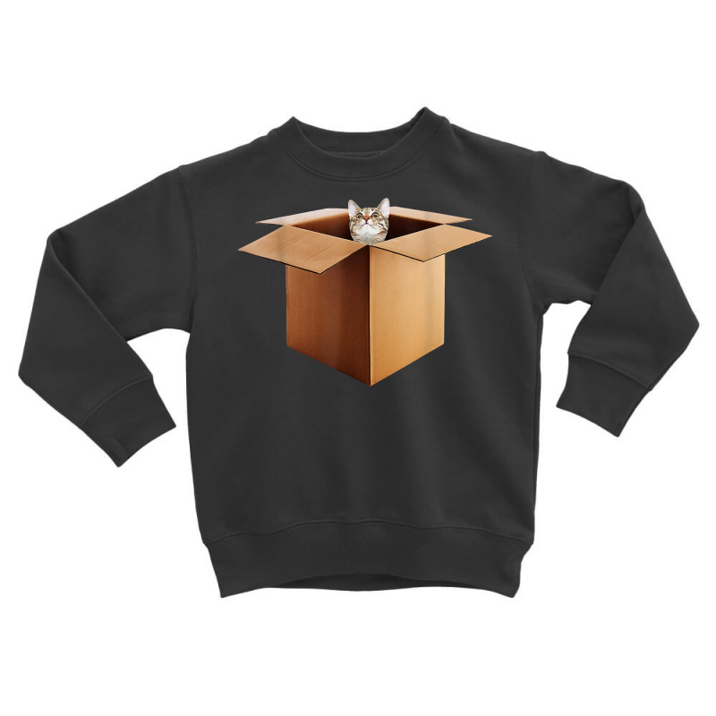 Funny Cat In A Big Cardboard Box For Cat Owners T Shirt Toddler Sweatshirt by cm-arts | Artistshot