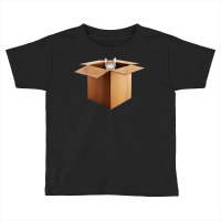 Funny Cat In A Big Cardboard Box For Cat Owners T Shirt Toddler T-shirt | Artistshot