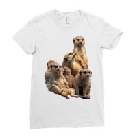 Lettertrunk Meerkat Family In The Kalahari Desert T Shirt Ladies Fitted T-shirt | Artistshot