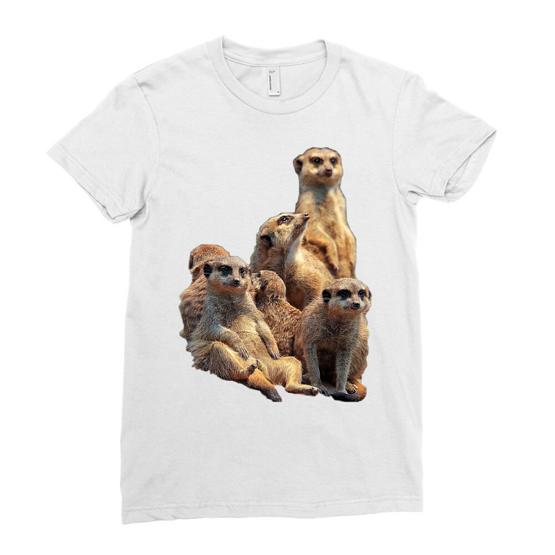 Lettertrunk Meerkat Family In The Kalahari Desert T Shirt Ladies Fitted T-Shirt by cm-arts | Artistshot