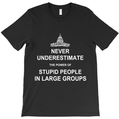 Never Underestimate The Power Of Stupid People T-shirt Designed By Aukey Driana