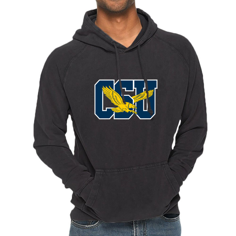 Coppin State Eagles L Vintage Hoodie | Artistshot