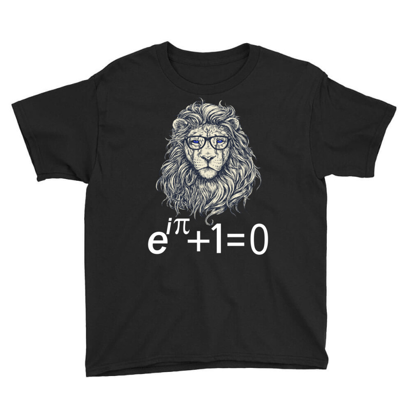 Euler's Identity The Most Beautiful Math Equation Sweatshirt Youth Tee by cm-arts | Artistshot