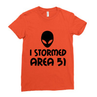 I Stormed Area 51 Alien Fan Ladies Fitted T-shirt | Artistshot