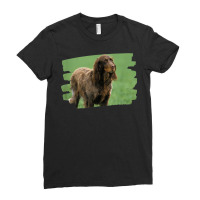 Picardy Spaniel Dog Lover Ladies Fitted T-shirt | Artistshot