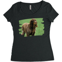 Picardy Spaniel Dog Lover Women's Triblend Scoop T-shirt | Artistshot