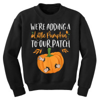 We're Adding A Little Pumpkin To Our Patch Pumpkin Pregnancy T Shirt Youth Sweatshirt | Artistshot