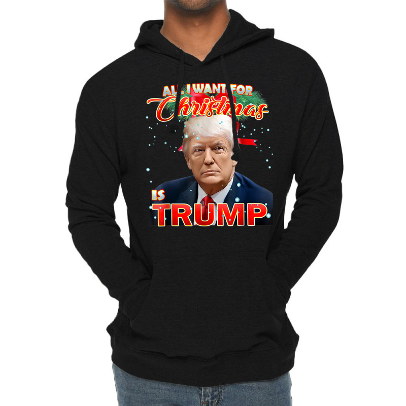 Trump 2024 I Want Trump This Christmas Lightweight Hoodie | Artistshot