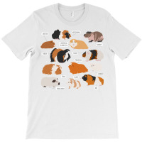 Guinea Pig Breeds   Costume Clothing Accessories T-shirt | Artistshot