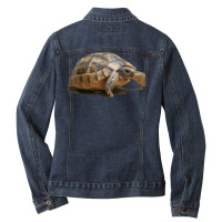 Portrait Of A Young Wild Tortoise Isolated T Shirt Ladies Denim Jacket | Artistshot