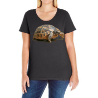 Portrait Of A Young Wild Tortoise Isolated T Shirt Ladies Curvy T-shirt | Artistshot