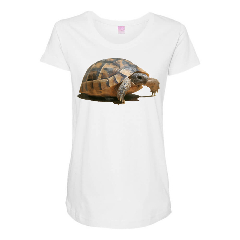 Portrait Of A Young Wild Tortoise Isolated T Shirt Maternity Scoop Neck T-shirt by puetzee | Artistshot