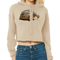 Portrait Of A Young Wild Tortoise Isolated T Shirt Cropped Hoodie | Artistshot