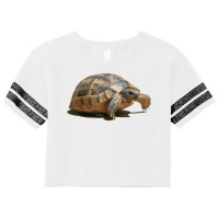 Portrait Of A Young Wild Tortoise Isolated T Shirt Scorecard Crop Tee | Artistshot