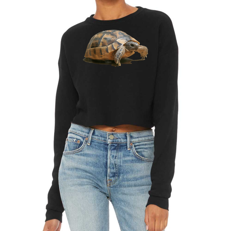 Portrait Of A Young Wild Tortoise Isolated T Shirt Cropped Sweater by puetzee | Artistshot