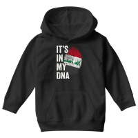 Its In My Dna Iraq Flag Iraqi Roots Pride Genetic Long Sleeve T Shirt Youth Hoodie | Artistshot