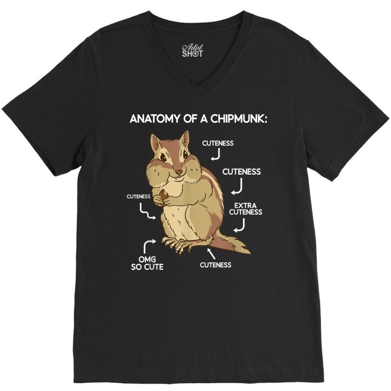 Anatomy Cute Chipmunk V-neck Tee | Artistshot