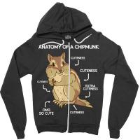 Anatomy Cute Chipmunk Zipper Hoodie | Artistshot