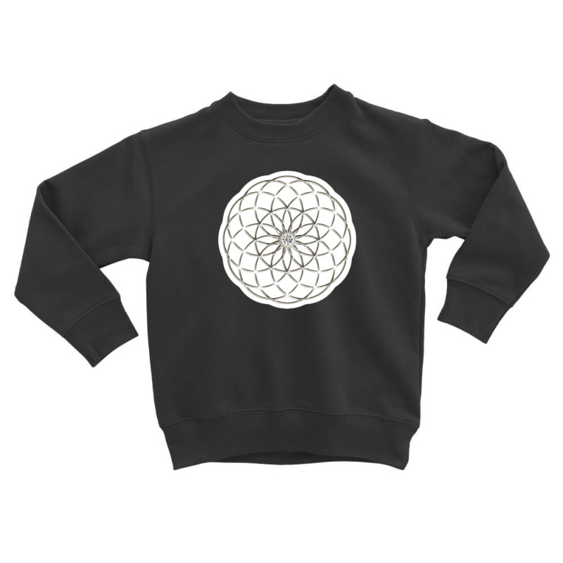 Platonic Solids Building Blocks Of Life Mathematics Geometry 11739281 Toddler Sweatshirt | Artistshot