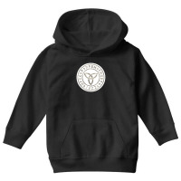 Platonic Solids Building Blocks Of Life Mathematics Geometry 120492995 Youth Hoodie | Artistshot