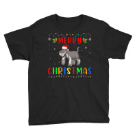 Xmas Light Schnauzer Dog Design Matching Christmas Pajama Youth Tee | Artistshot