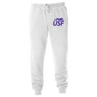 Si0ux F4lls C0u94rs Unisex Jogger | Artistshot