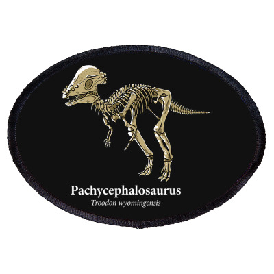 Pachycephalosaurus Keychain Dinosaur Keychain Fossil 