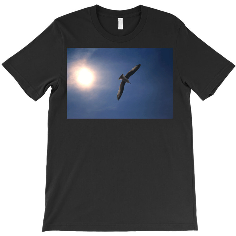 Sailing On Sunlit Wings T-shirt | Artistshot