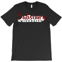 Salisbury  Copy T-shirt | Artistshot