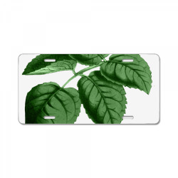 leaf green License Plate | Artistshot