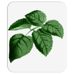 leaf green Mousepad | Artistshot