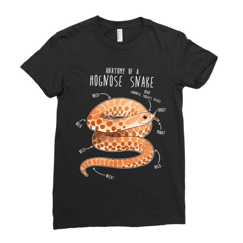 Anatomy Of A Albino Hognose Snake Ladies Fitted T-Shirt by EdithMcdaniel | Artistshot