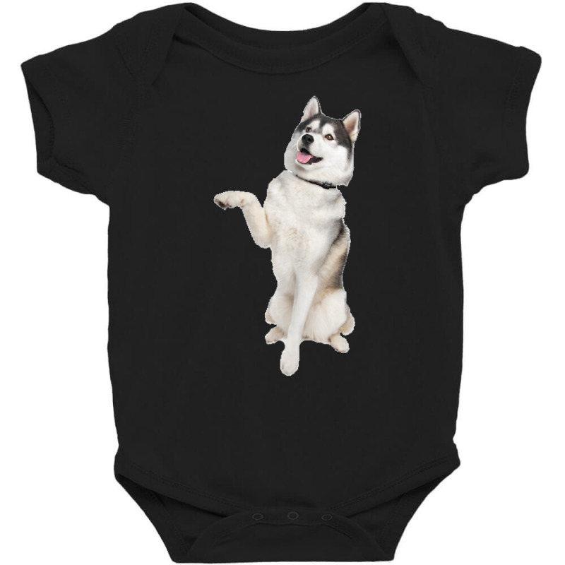 Siberian Husky T Shirt Baby Bodysuit by cm-arts | Artistshot