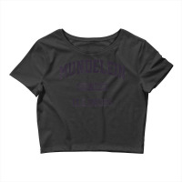 Mundelein Illinois Il Vintage State Athletic Style Crop Top | Artistshot