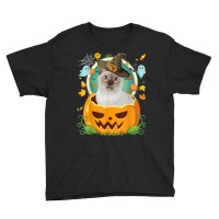 Happy Halloween Pumpkin Tonkinese Cat Witch Cute Hat Lover Youth Tee | Artistshot