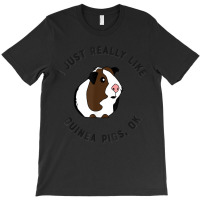 Cute And Funny I Just Really Like Guinea Pigs Ok Tshirt 54 T-shirt | Artistshot