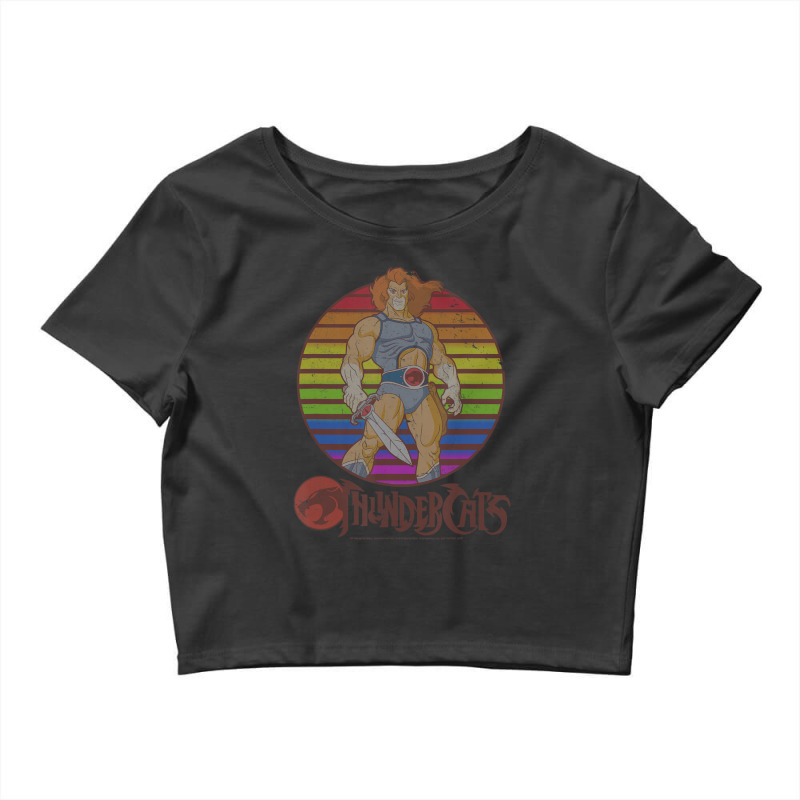 Thundercats Lion-o Rainbow Sunset Poster Crop Top by Gibbons Washburn | Artistshot