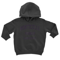 Monticello Kentucky Ky Vintage State Athletic Style Toddler Hoodie | Artistshot