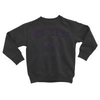 Monticello Kentucky Ky Vintage State Athletic Style Toddler Sweatshirt | Artistshot