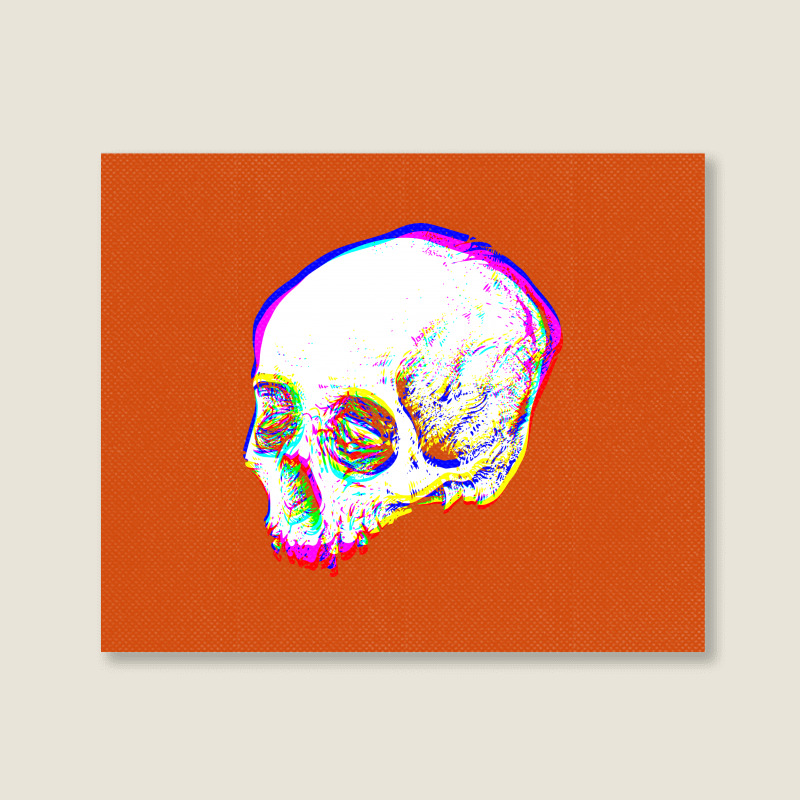 Skull Glitch Landscape Canvas Print | Artistshot