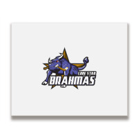 Lone Star Brahmas Metal Print Horizontal | Artistshot