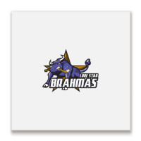 Lone Star Brahmas Metal Print Square | Artistshot