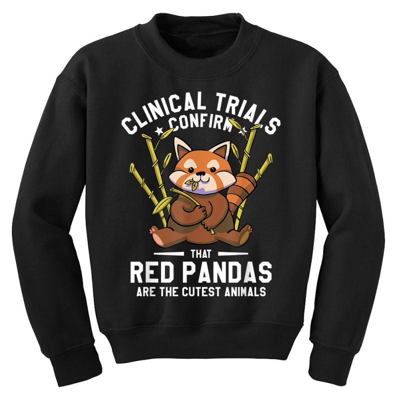 Clinical Trials Confirm That Red Pandas Are The Cutest Youth Sweatshirt | Artistshot