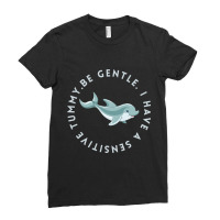 Be Gentle I Have A Sensitive Tummy Ladies Fitted T-shirt | Artistshot