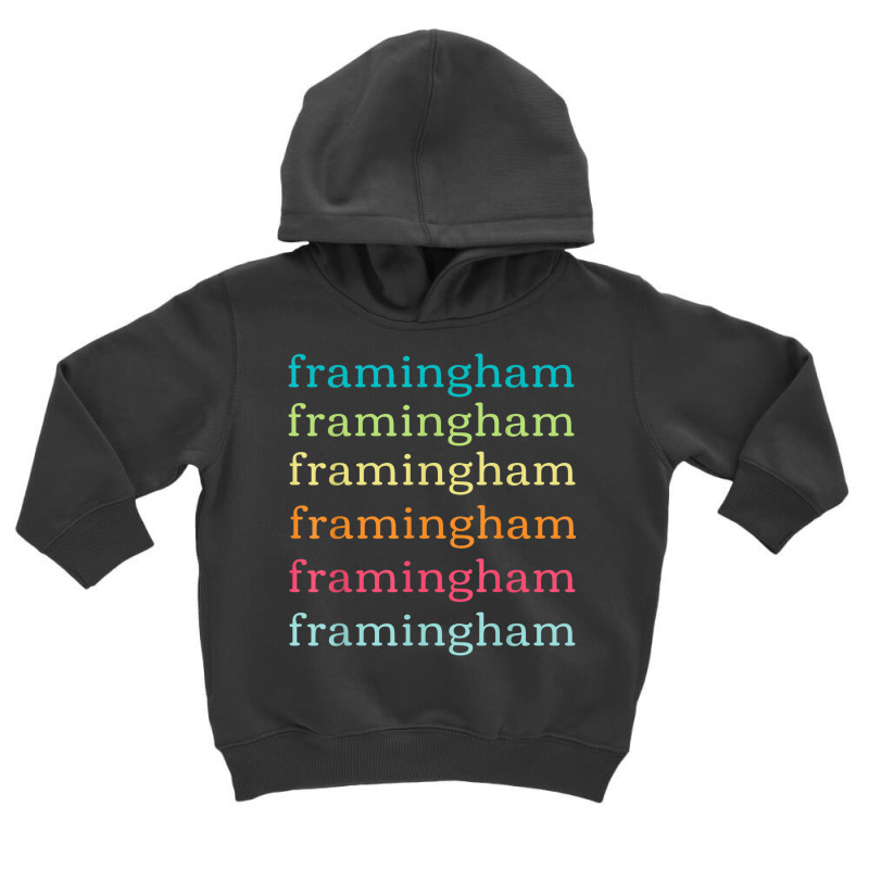 Framingham Massachusetts (ma) Cute And Colorful Text Toddler Hoodie by Sombre | Artistshot