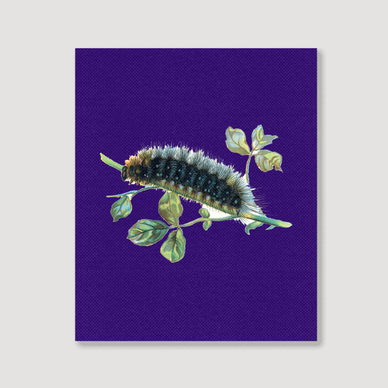 Natura Animal Portrait Canvas Print | Artistshot