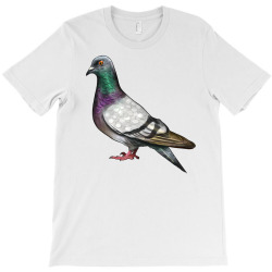 product_image_promotion